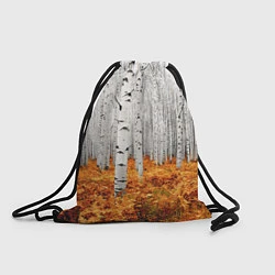 Рюкзак-мешок Березовая роща, цвет: 3D-принт