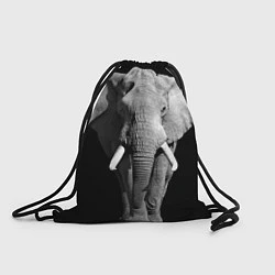 Рюкзак-мешок Старый слон, цвет: 3D-принт
