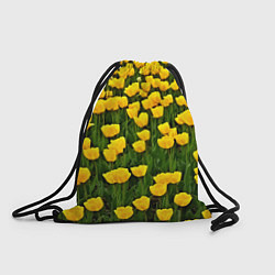 Мешок для обуви Жёлтые тюльпаны
