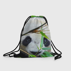 Рюкзак-мешок Панда в лесу, цвет: 3D-принт