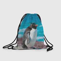 Рюкзак-мешок Пингвин на солнышке, цвет: 3D-принт