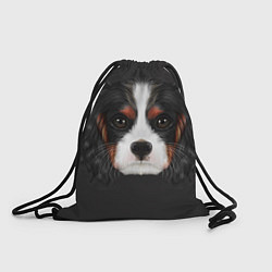 Рюкзак-мешок Cavalier King Charles, цвет: 3D-принт