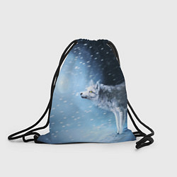 Рюкзак-мешок ВОЛК ЗИМА D, цвет: 3D-принт