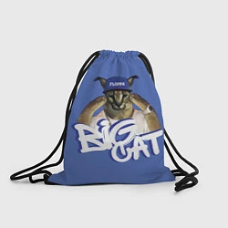 Рюкзак-мешок Big Cat Floppa, цвет: 3D-принт