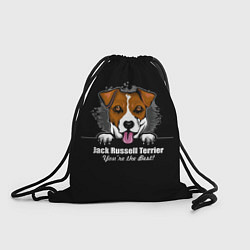 Рюкзак-мешок Джек-Рассел-Терьер Jack Russell Terrier, цвет: 3D-принт