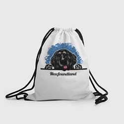 Рюкзак-мешок Ньюфаундленд Newfoundland, цвет: 3D-принт