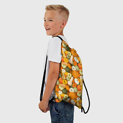 Рюкзак-мешок Тыквы Pumpkin, цвет: 3D-принт — фото 2