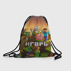 Рюкзак-мешок Игорь Minecraft, цвет: 3D-принт