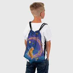 Рюкзак-мешок Лунная лиса, цвет: 3D-принт — фото 2