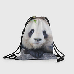 Рюкзак-мешок Панда отдыхает, цвет: 3D-принт