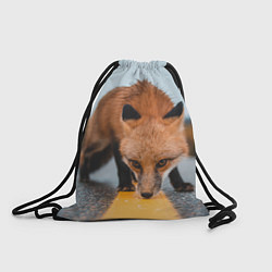 Рюкзак-мешок Лиcа на трассе, цвет: 3D-принт