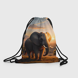 Рюкзак-мешок Африканский слон в саванне, цвет: 3D-принт