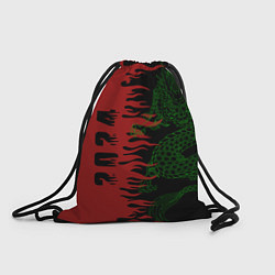Рюкзак-мешок Зеленый дракон - 2024, цвет: 3D-принт