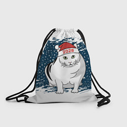 Мешок для обуви Кот Бендер - 2026