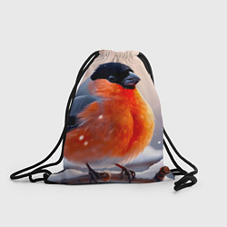 Мешок для обуви Снегирь на зимней ветке