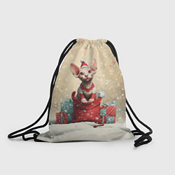 Мешок для обуви Новогодний кот сфинкс