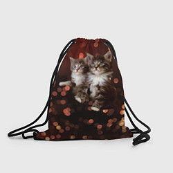 Рюкзак-мешок Котята, цвет: 3D-принт