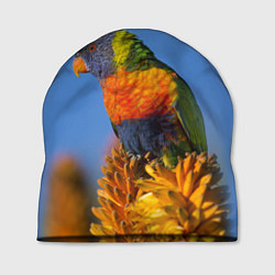 Шапка Попугай на солнце, цвет: 3D-принт