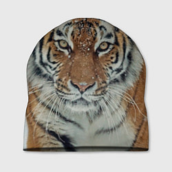 Шапка Тигр в снегу, цвет: 3D-принт