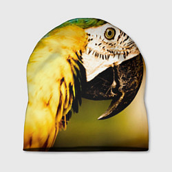 Шапка Улыбка попугая, цвет: 3D-принт