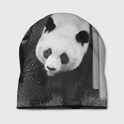 Шапка Большая панда, цвет: 3D-принт