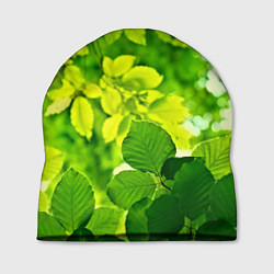 Шапка Зелёные листья, цвет: 3D-принт