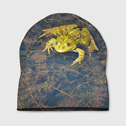 Шапка Лягушка
