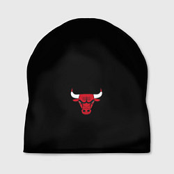 Шапка CHICAGO BULLS ЛОГО БЫК