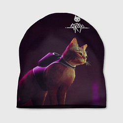 Шапка Stray: Wandering Cat