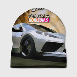 Шапка Игрище Forza Horizon 5
