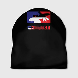 Шапка Limp Bizkit logo brend, цвет: 3D-принт