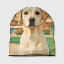 Шапка Лабрадор на фоне пальм