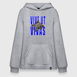 Толстовка-худи оверсайз Vive ut vivas, цвет: меланж
