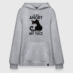Толстовка-худи оверсайз I am not angry cat, цвет: меланж