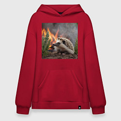 Толстовка-худи оверсайз Ёжик в огне, цвет: красный
