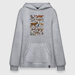 Толстовка-худи оверсайз Лесные животные и птицы, цвет: меланж