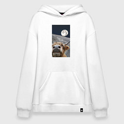 Толстовка-худи оверсайз Корова делает селфи на луне, цвет: белый