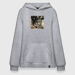 Худи оверсайз Недовольная серая кошка