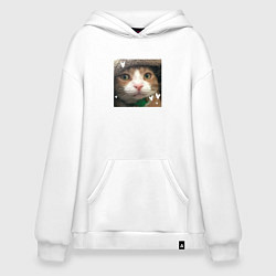Толстовка-худи оверсайз Рыжий кот - с сердечками, цвет: белый