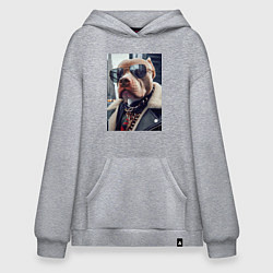 Толстовка-худи оверсайз Чувак питбуль в тёмных очках, цвет: меланж