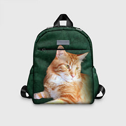 Детский рюкзак Мейн кун рыжий кот, цвет: 3D-принт
