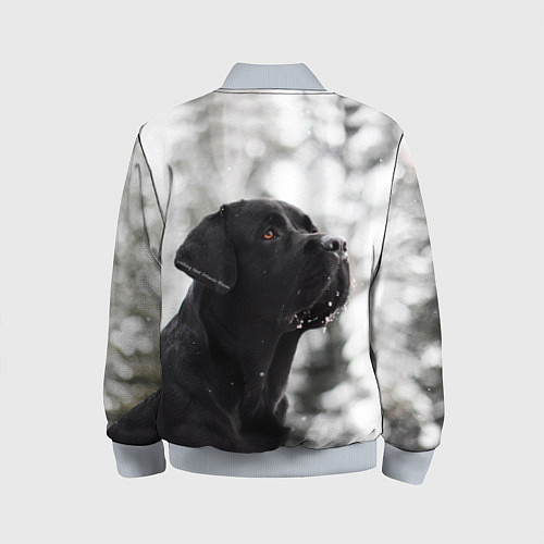 Детский бомбер Лабрадор Марк / 3D-Серый – фото 2