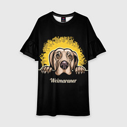 Платье клеш для девочки Веймаранер Weimaraner, цвет: 3D-принт