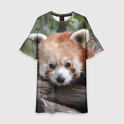 Платье клеш для девочки Красная панда, цвет: 3D-принт
