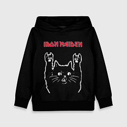 Толстовка-худи детская Iron Maiden Рок кот, цвет: 3D-черный