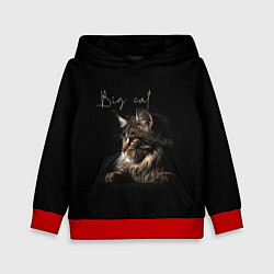 Детская толстовка Big cat Maine Coon
