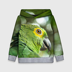 Толстовка-худи детская Попугaй, цвет: 3D-меланж