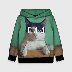 Толстовка-худи детская Мем с котом - голод, цвет: 3D-черный