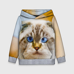 Толстовка-худи детская Кошка породы шотландская вислоухая косоглазая, цвет: 3D-меланж