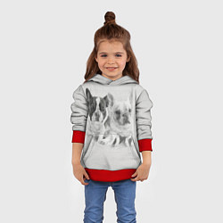 Толстовка-худи детская Французские бульдоги пара текстура стены, цвет: 3D-красный — фото 2